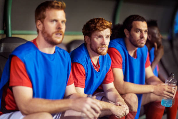 他们全面的 他们全面的